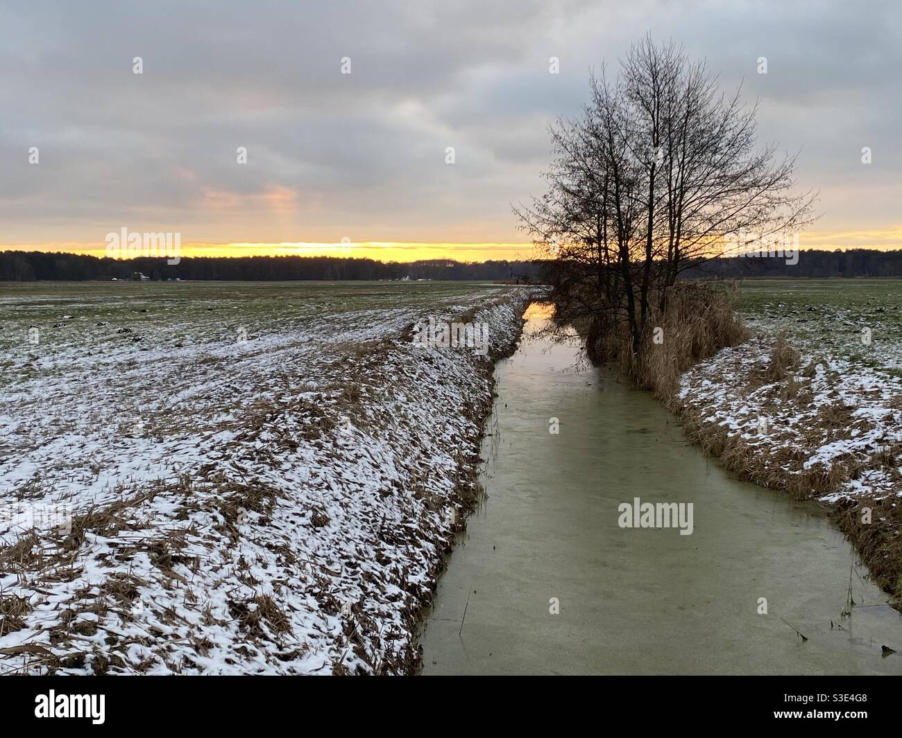 Winter field in evening - rushing home Stock Photo