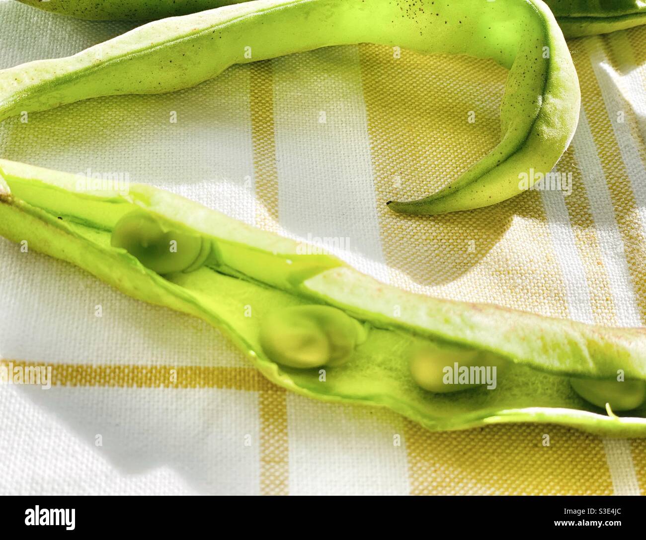 Few broad beans in the morning light Stock Photo