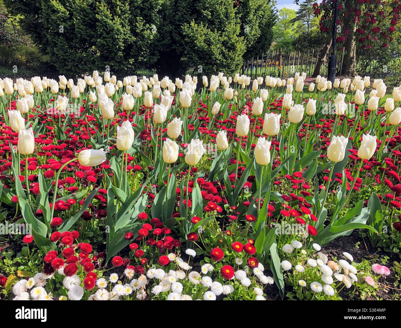 Botanic Gardens, Belfast, Northern Ireland Stock Photo - Alamy