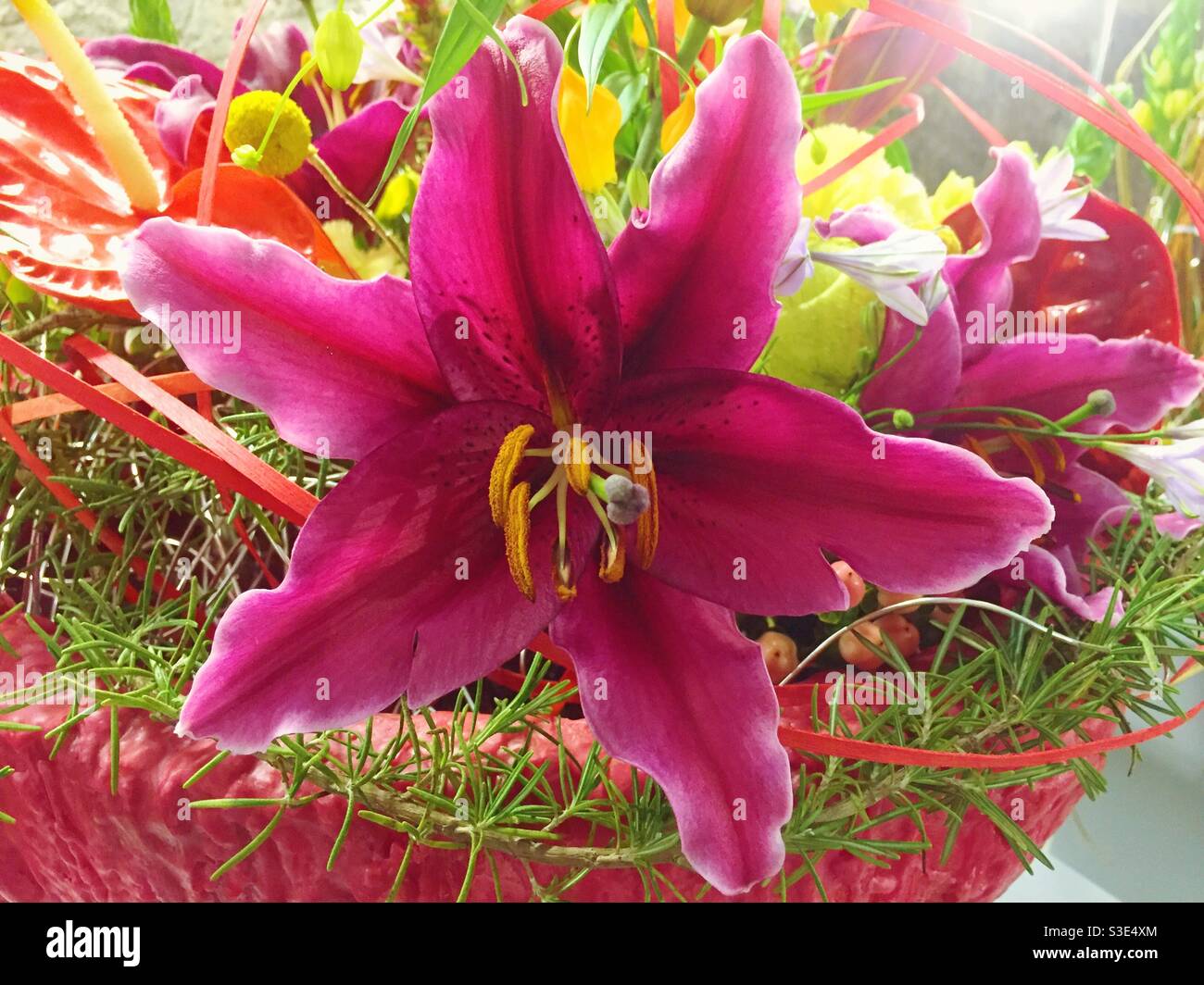 Beautiful spring flower bouquet with exotic pink bloom - Smartphone Captured Stock Image