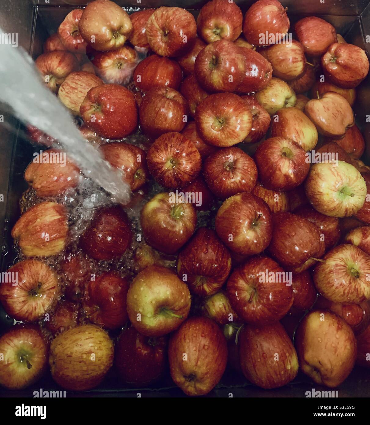 Washed red apples Stock Photo