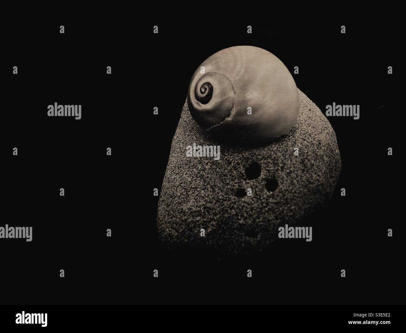 Still life image of a rock and snail shell on black background - Smartphone Captured Stock Image