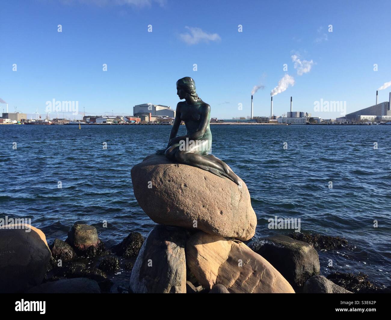 The famous little mermaid on her rock in Copenhagen Stock Photo - Alamy