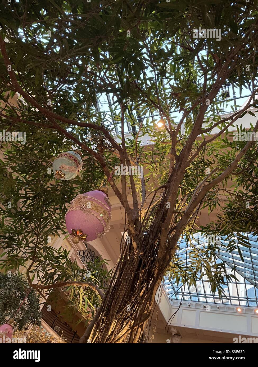 Looking up at an indoor tree decorated with hanging Easter eggs Stock Photo
