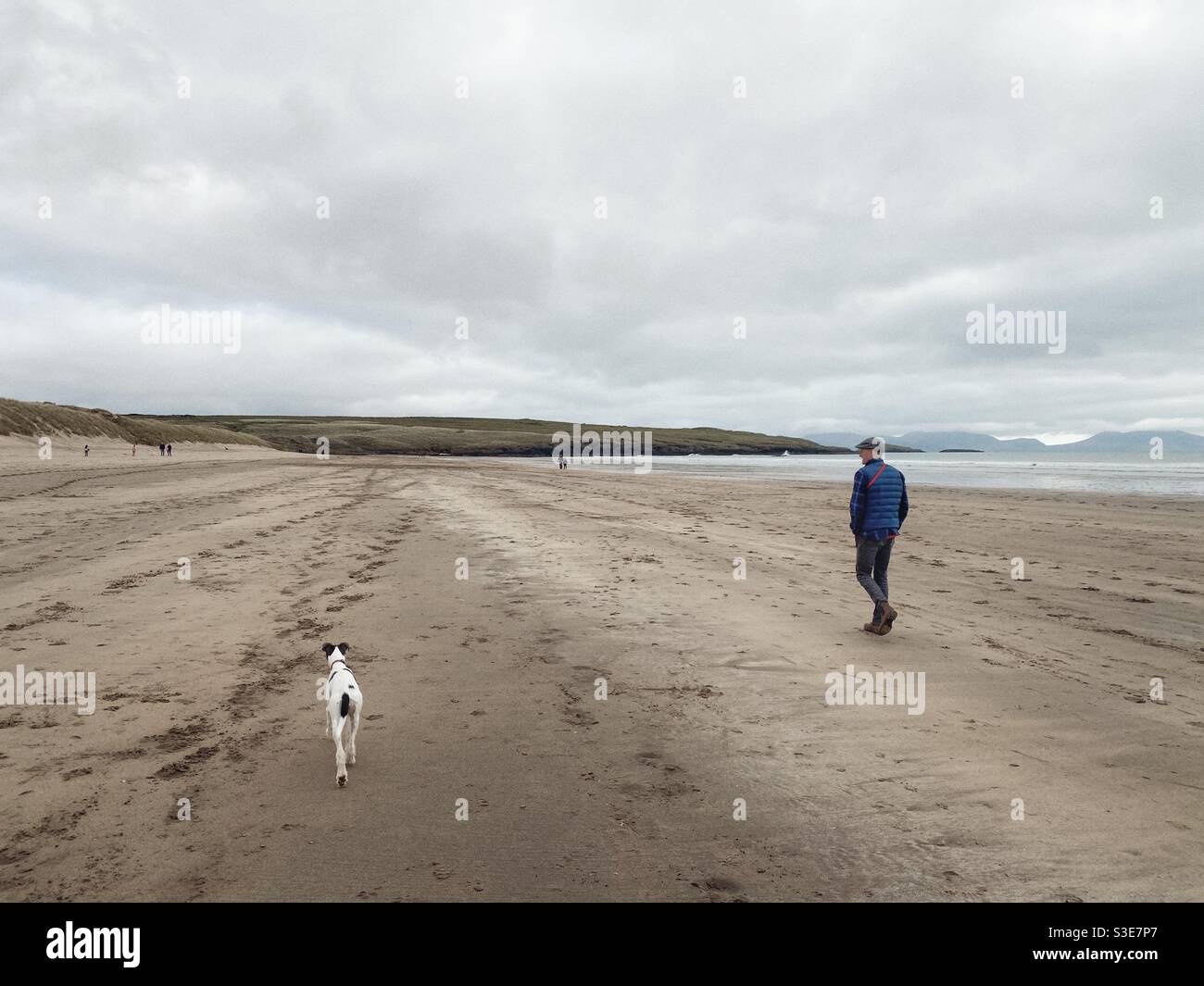 Man and dog walking along Aberffraw beach on Anglesey, March afternoon, view of Snowdonia on horizon, North Wales, UK - Smartphone Captured Stock Image