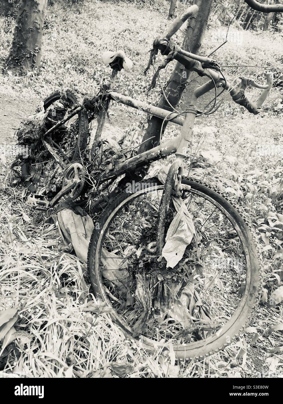 Old bike Stock Photo