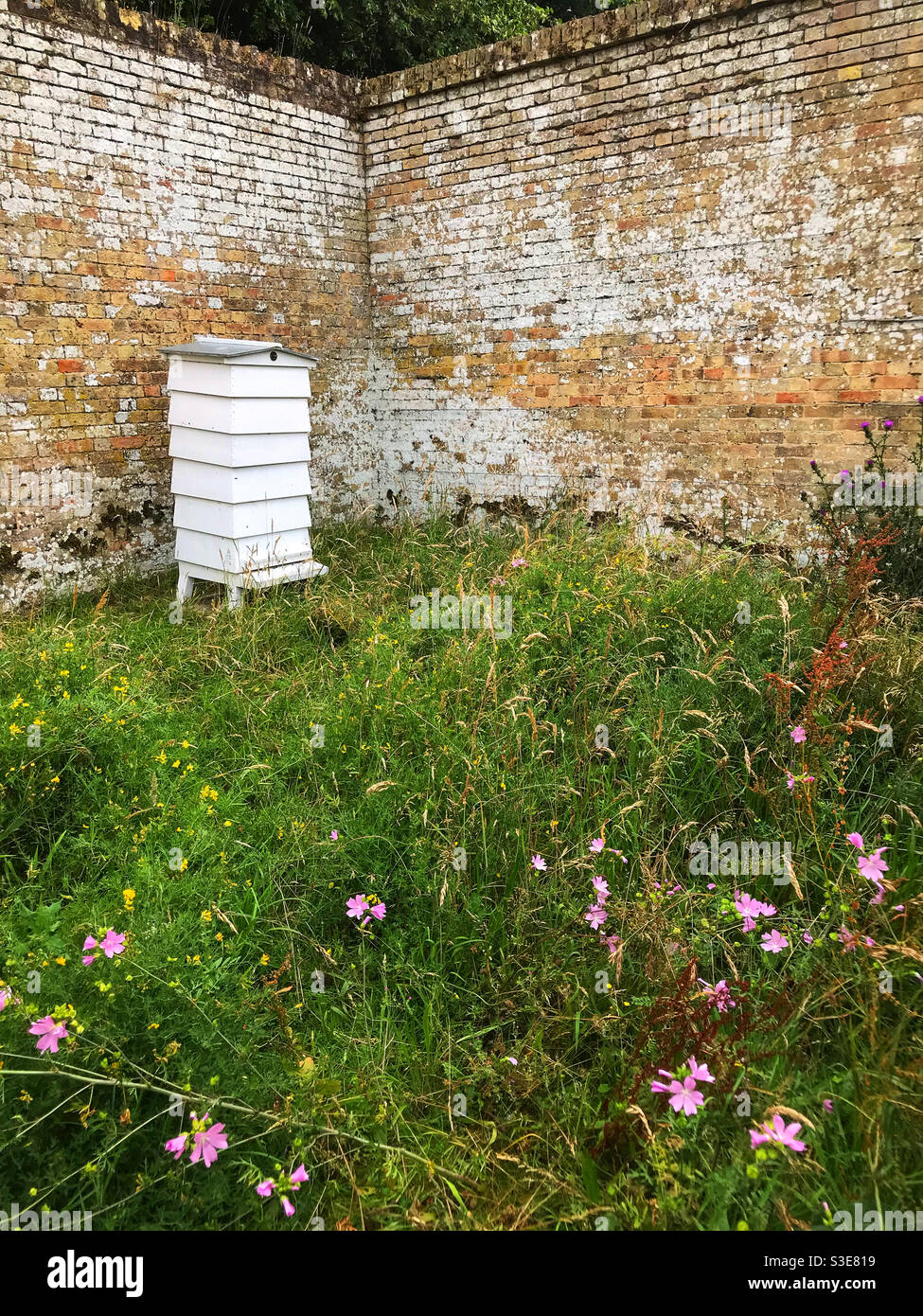 Bee hive inside an old walled garden, at Wrest Park, Silsoe, Bedfordshire, England. - Smartphone Captured Stock Image