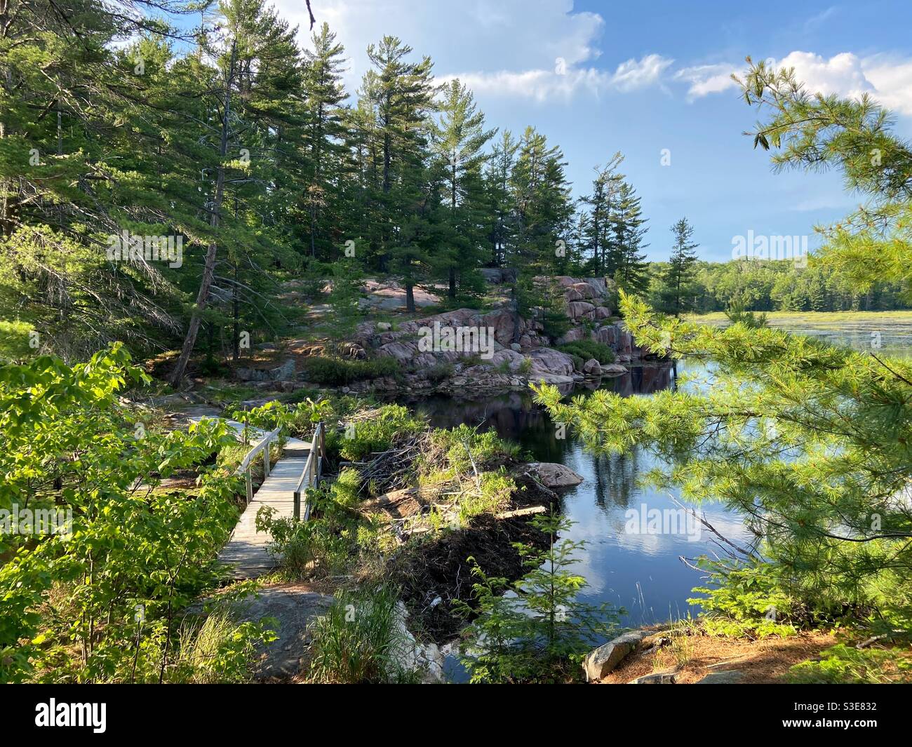 Cranberry Bog Trail Killarney Provincial Park Stock Photo Alamy