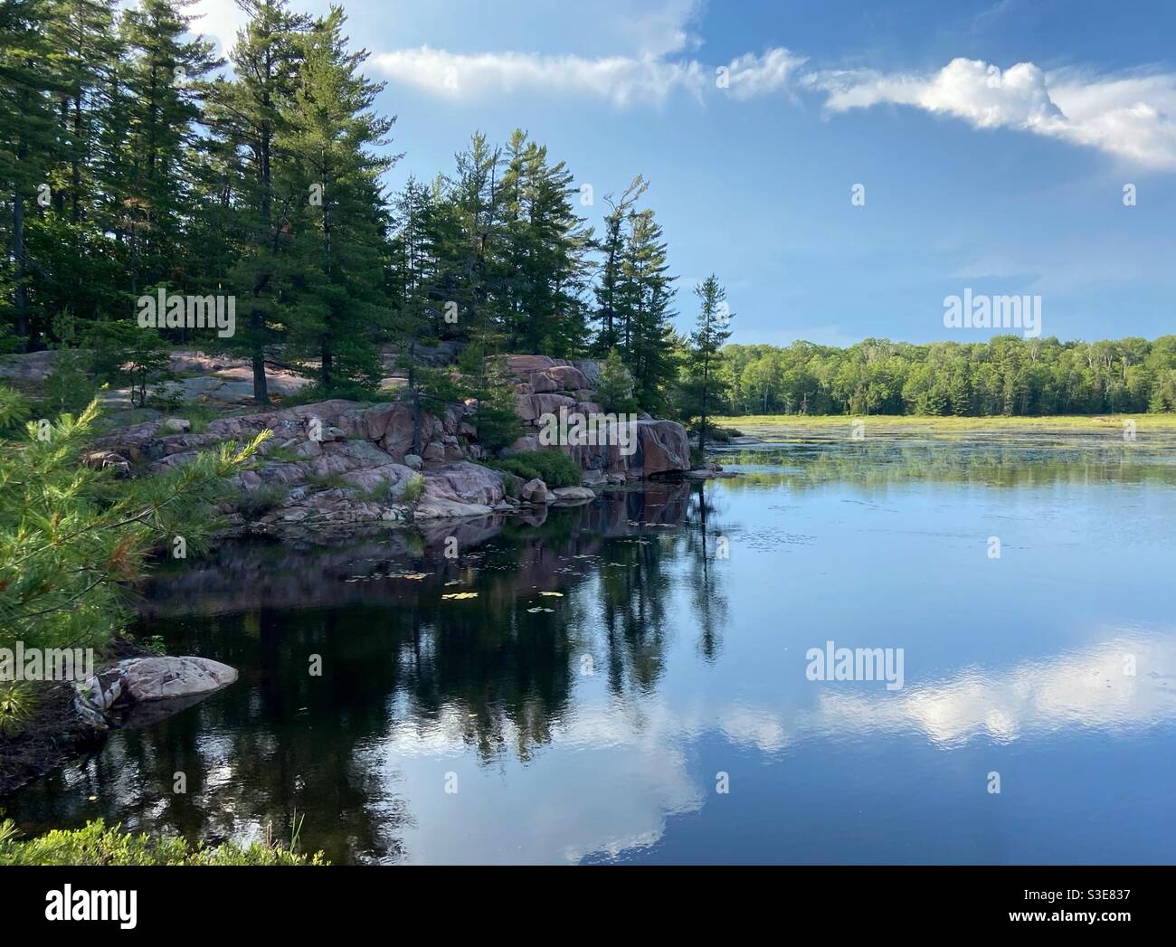 Cranberry Bog Trail Killarney Provincial Park Stock Photo Alamy
