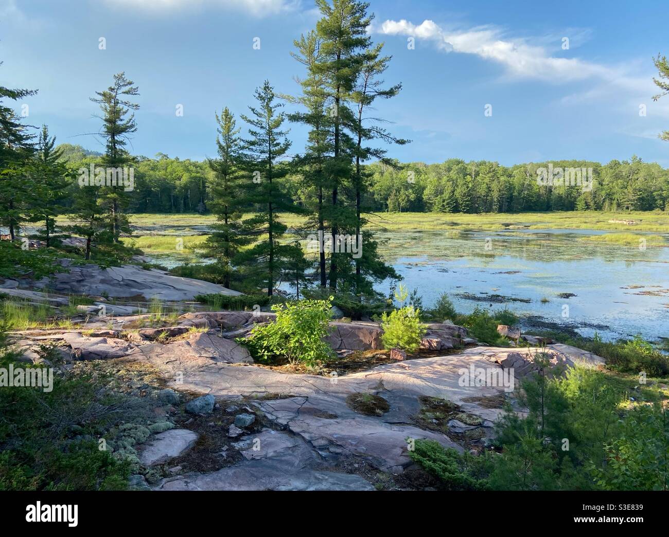 Cranberry Bog Trail Killarney Provincial Park Stock Photo Alamy