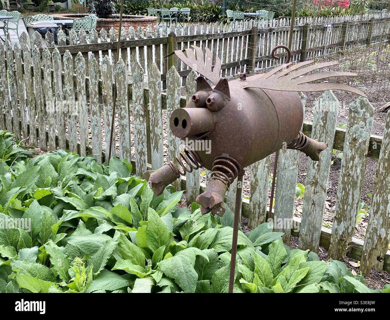 Flying Pig in Garden Stock Photo Alamy