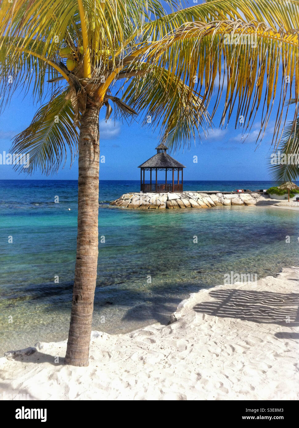 Beachfront gazebo framed by a palm tree, with people doing yoga on the boardwalk. Jamaica. - Smartphone Captured Stock Image