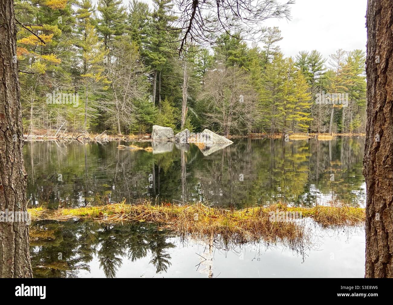 Hardy Lake Provincial Park Stock Photo Alamy