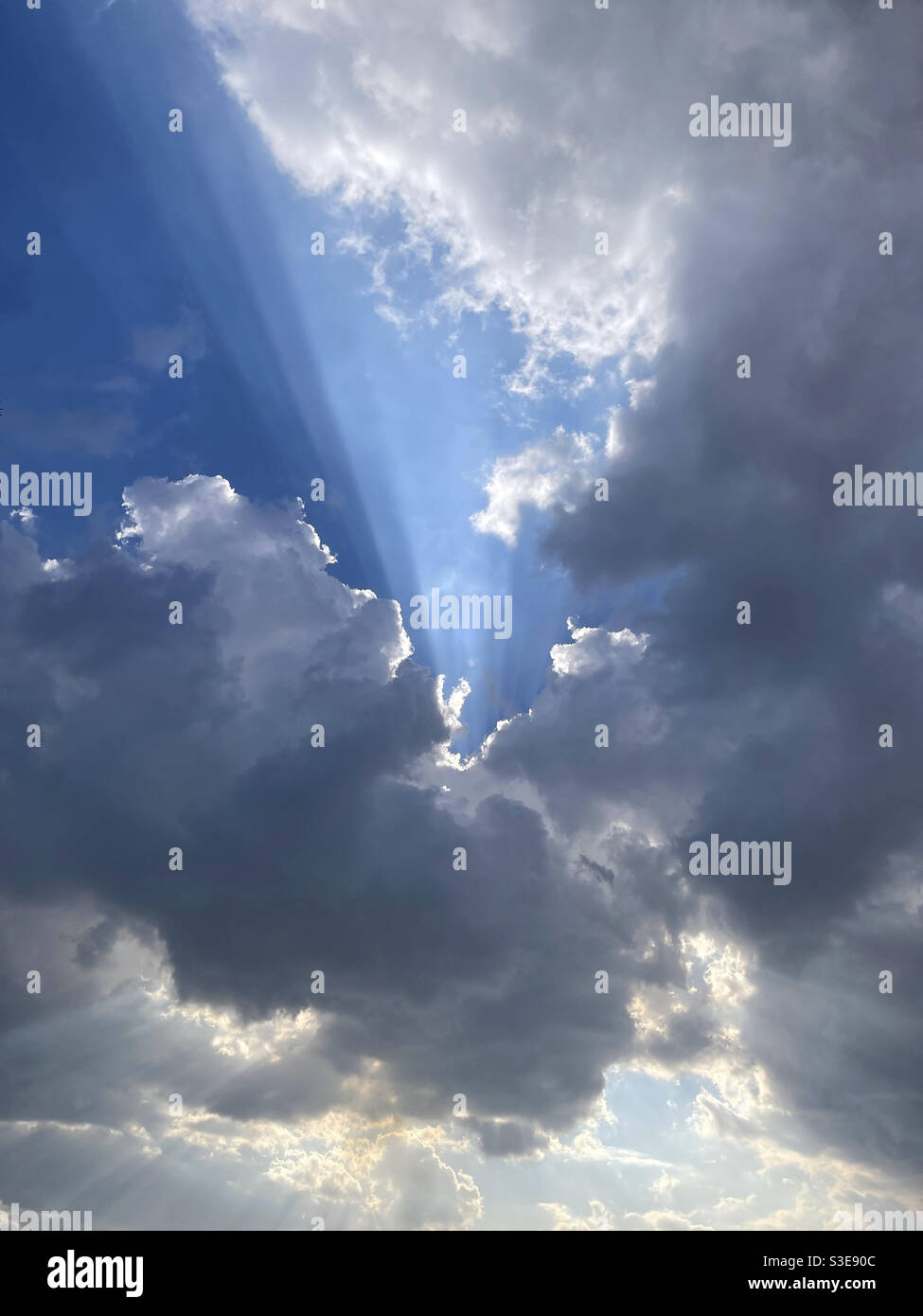 sunny afternoon - Smartphone Captured Stock Image