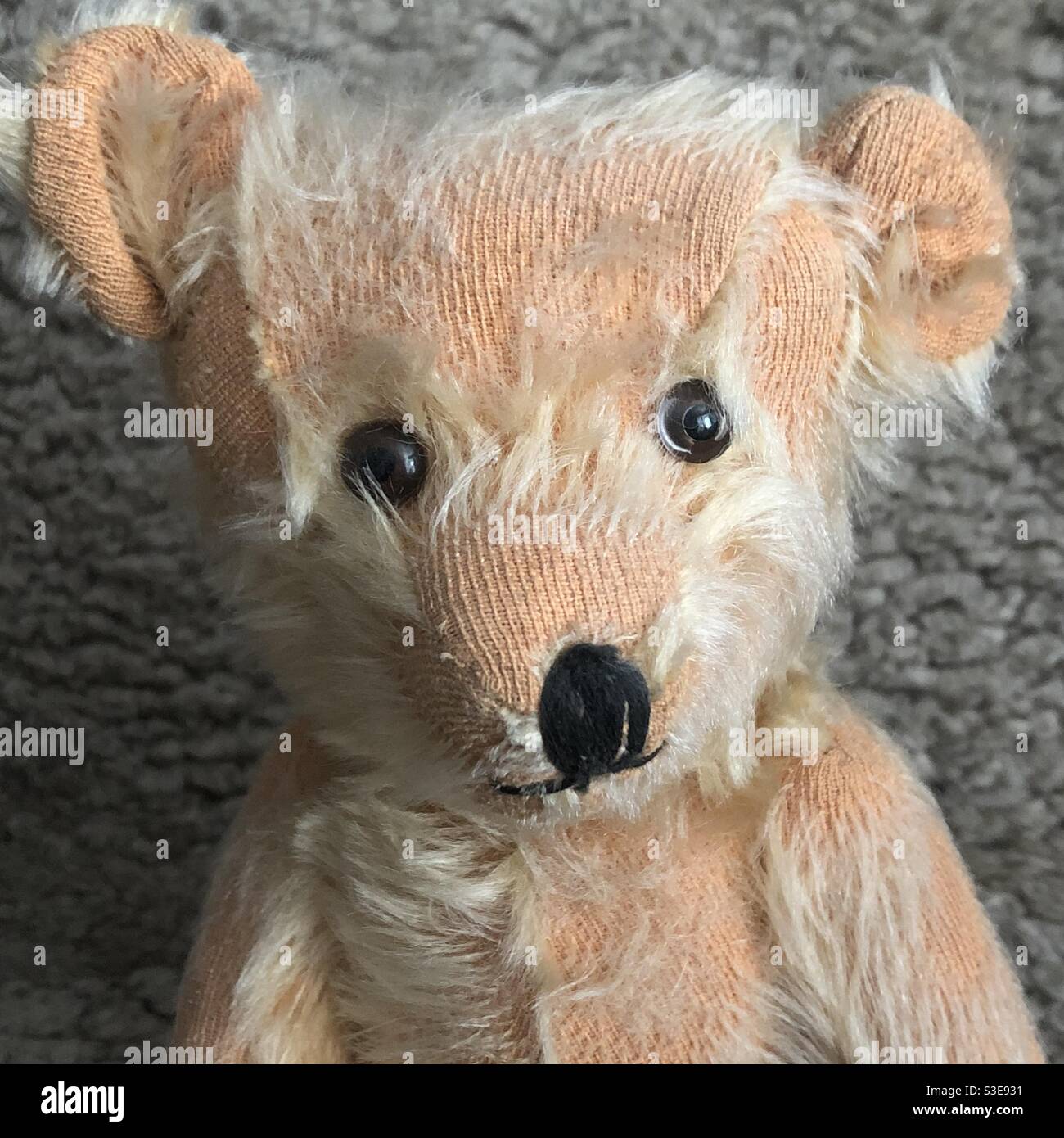 Closeup of a teddy bear from the 50's. - Smartphone Captured Stock Image