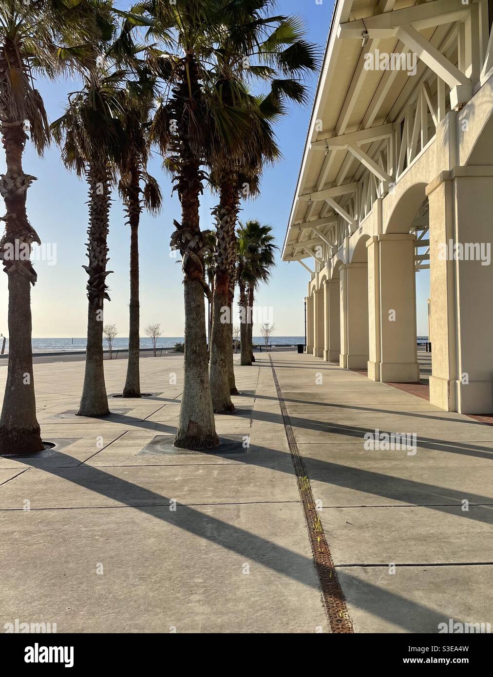 Palm trees and walking area at Jones Park Gulfport Mississippi Stock