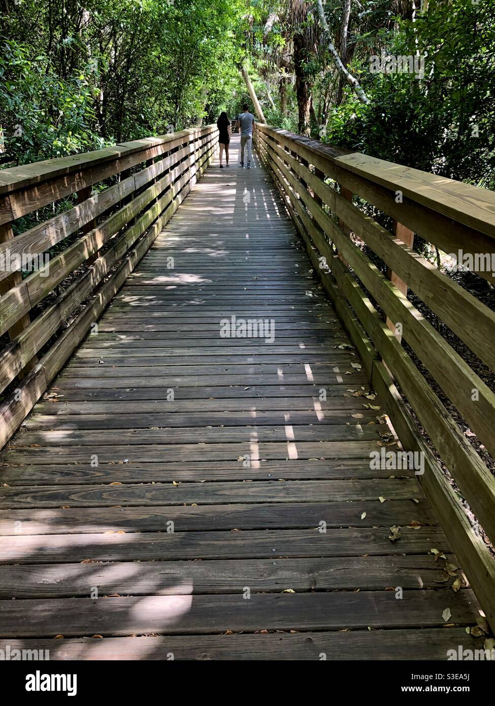 A young couple from a distance walking down a wooden bridge at a wetlands nature preserve in Florida. - Smartphone Captured Stock Image
