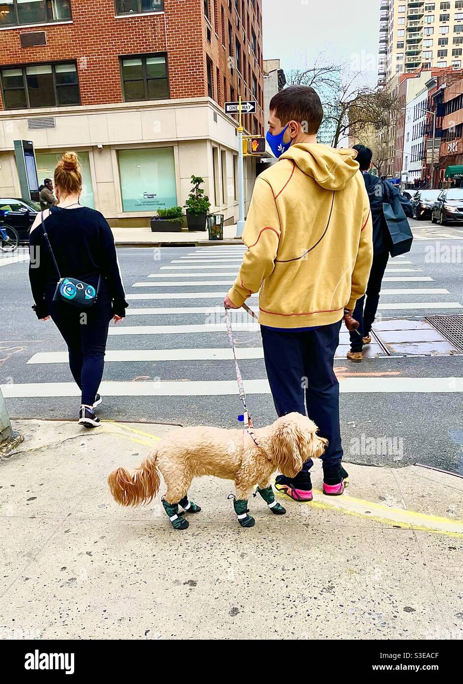 Those black (dog) boots are stylin’! - Smartphone Captured Stock Image