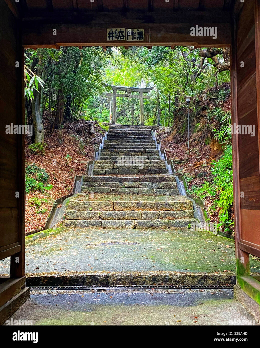 Doorway and steps to a mystical, magical place of peace and serenity. Torii gate of a shrine on Naoshima Island, Japan Stock Photo