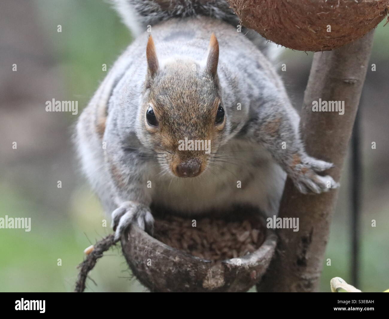 What are you looking at? Stock Photo