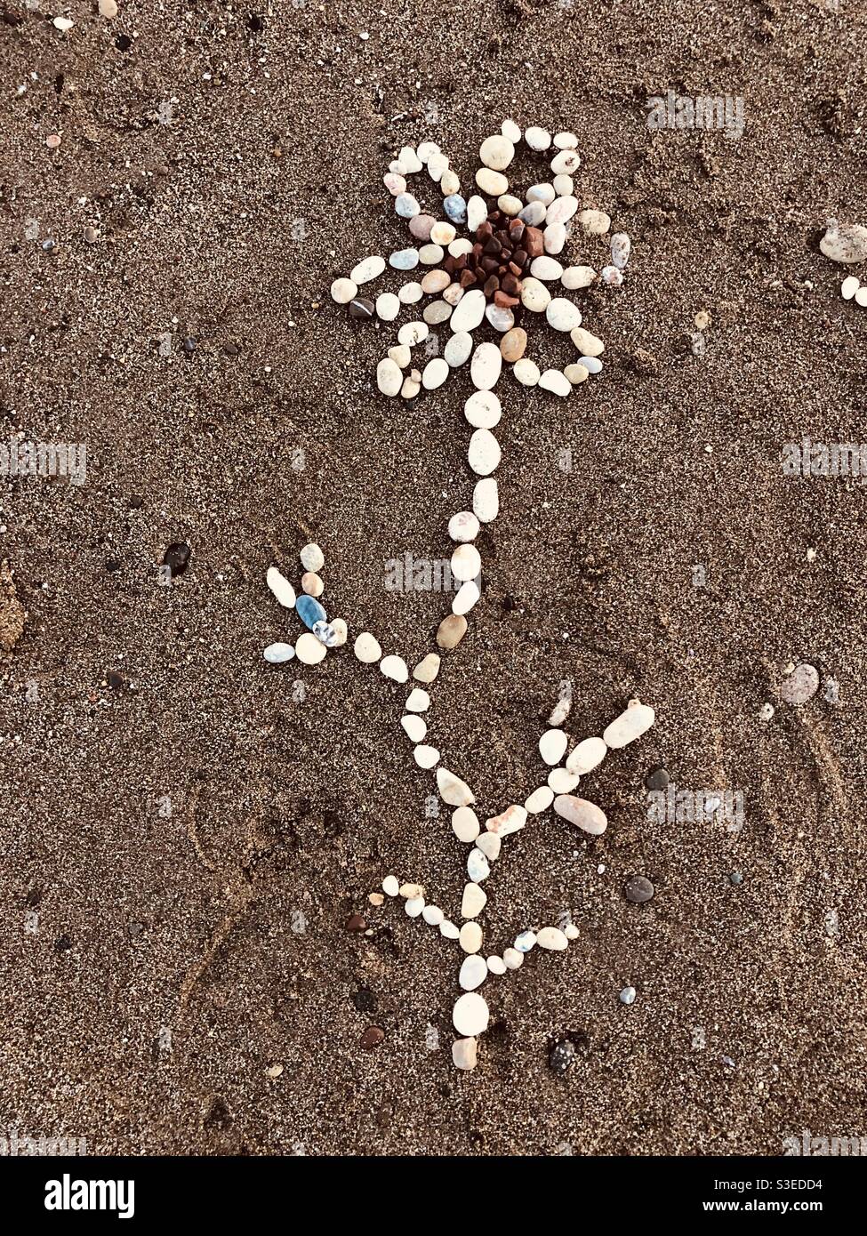 Floral shame made on beach with pebbles - Smartphone Captured Stock Image