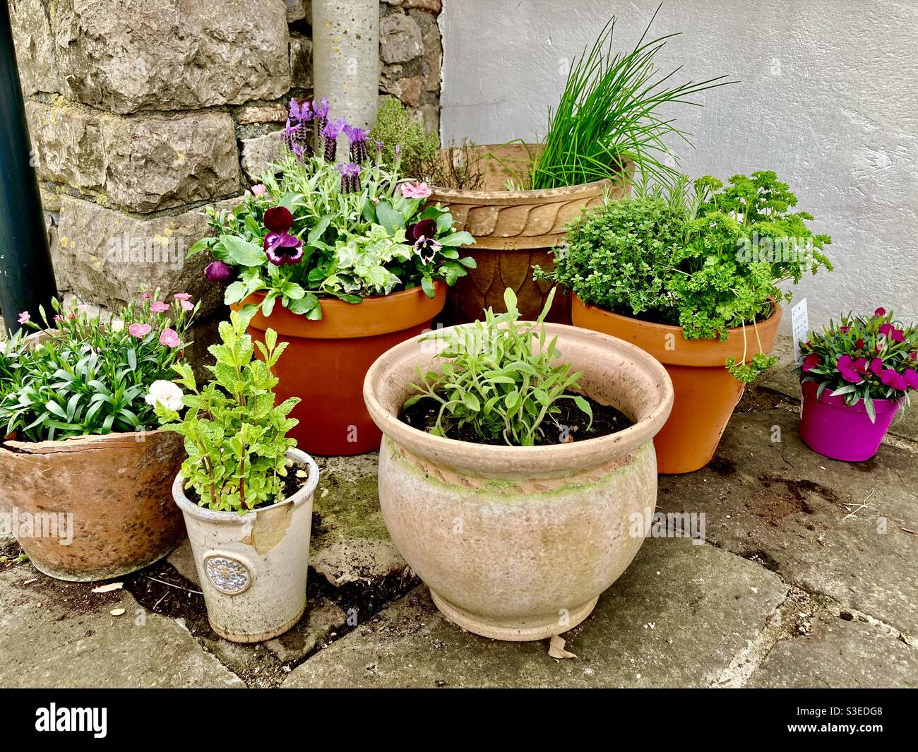 Group of garden pots hires stock photography and images Alamy