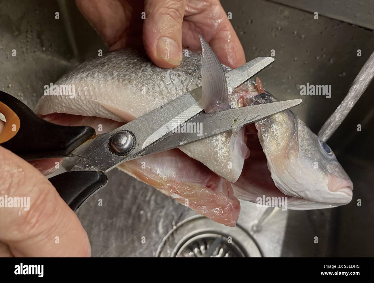 Fish sink hi-res stock photography and images - Alamy