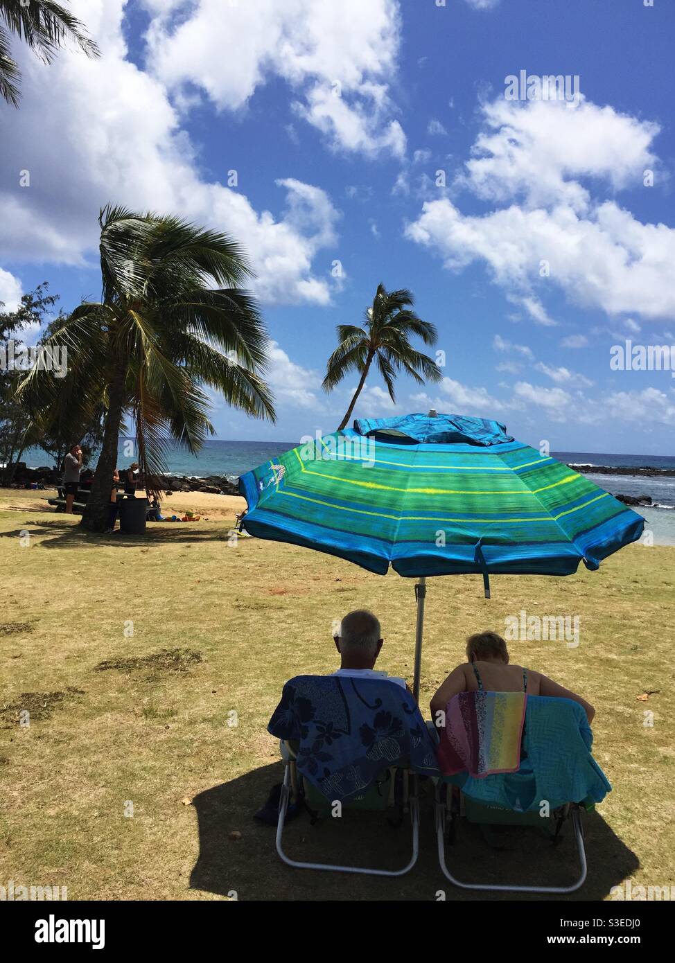 A sunny day at the Beach, Maui, Hawaii. A couple stays cool under the parasol. Sun seekers out on the water. Winter time. X’mas season. - Smartphone Captured Stock Image