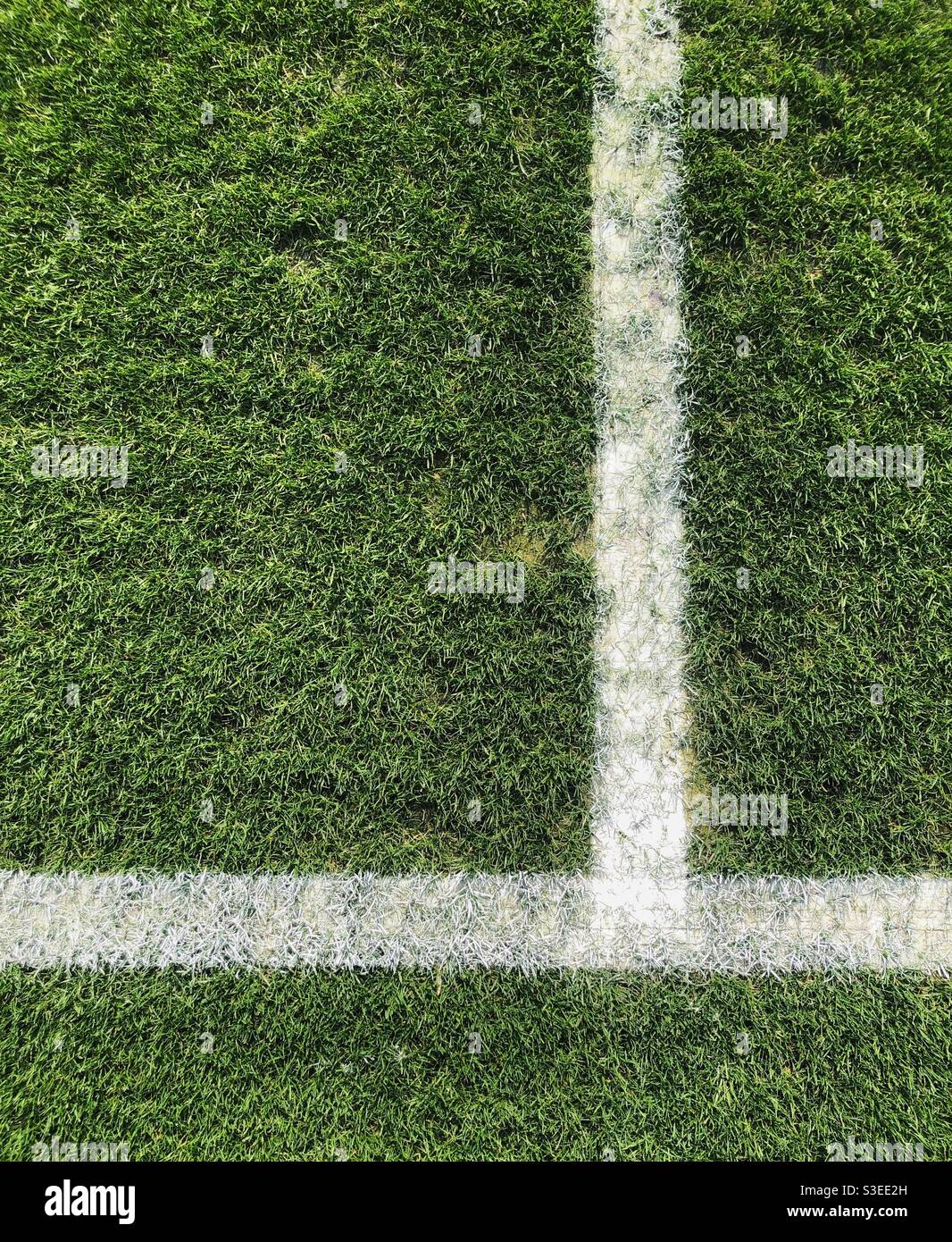 White lines on a soccer field Stock Photo