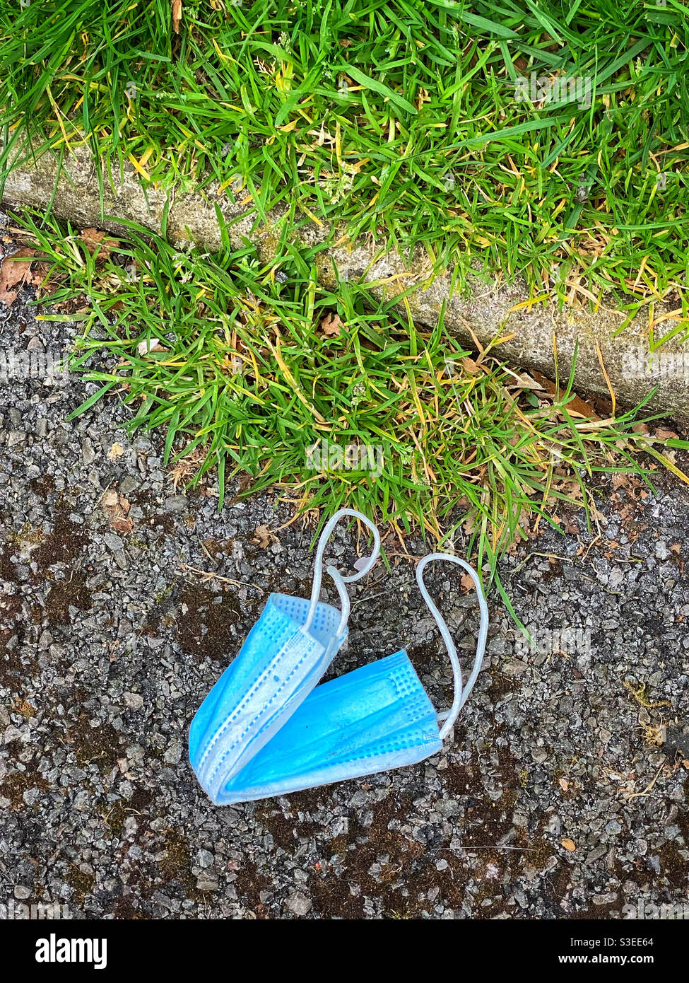 A discarded medical grade face mask lies on a path next to some grass. The COVID-19 Pandemic has created a different world as well as lots more litter and pollution. Photo Credit - ©️ COLIN HOSKINS. - Smartphone Captured Stock Image