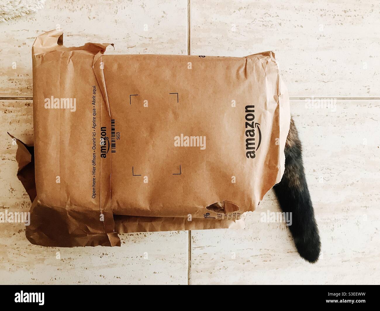 Cat in a bag Stock Photo Alamy