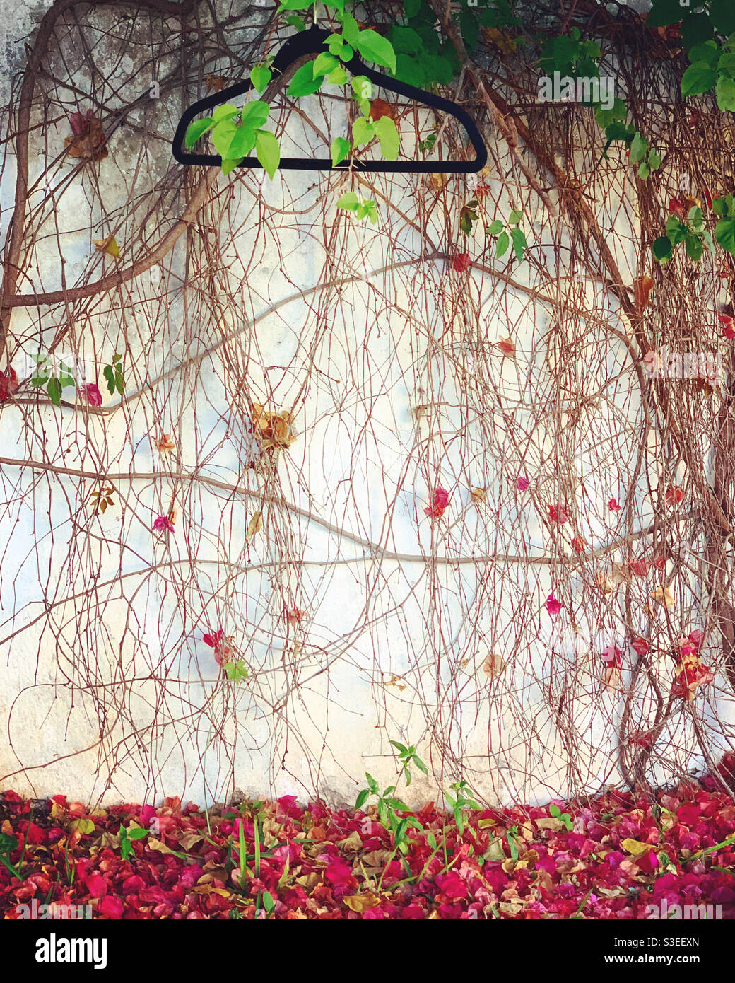 Hanger - Smartphone Captured Stock Image