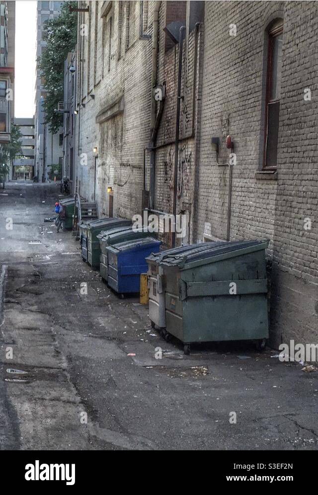 Back alleys in Sacramento California. Trash bins. Dirty. Home. Homeless