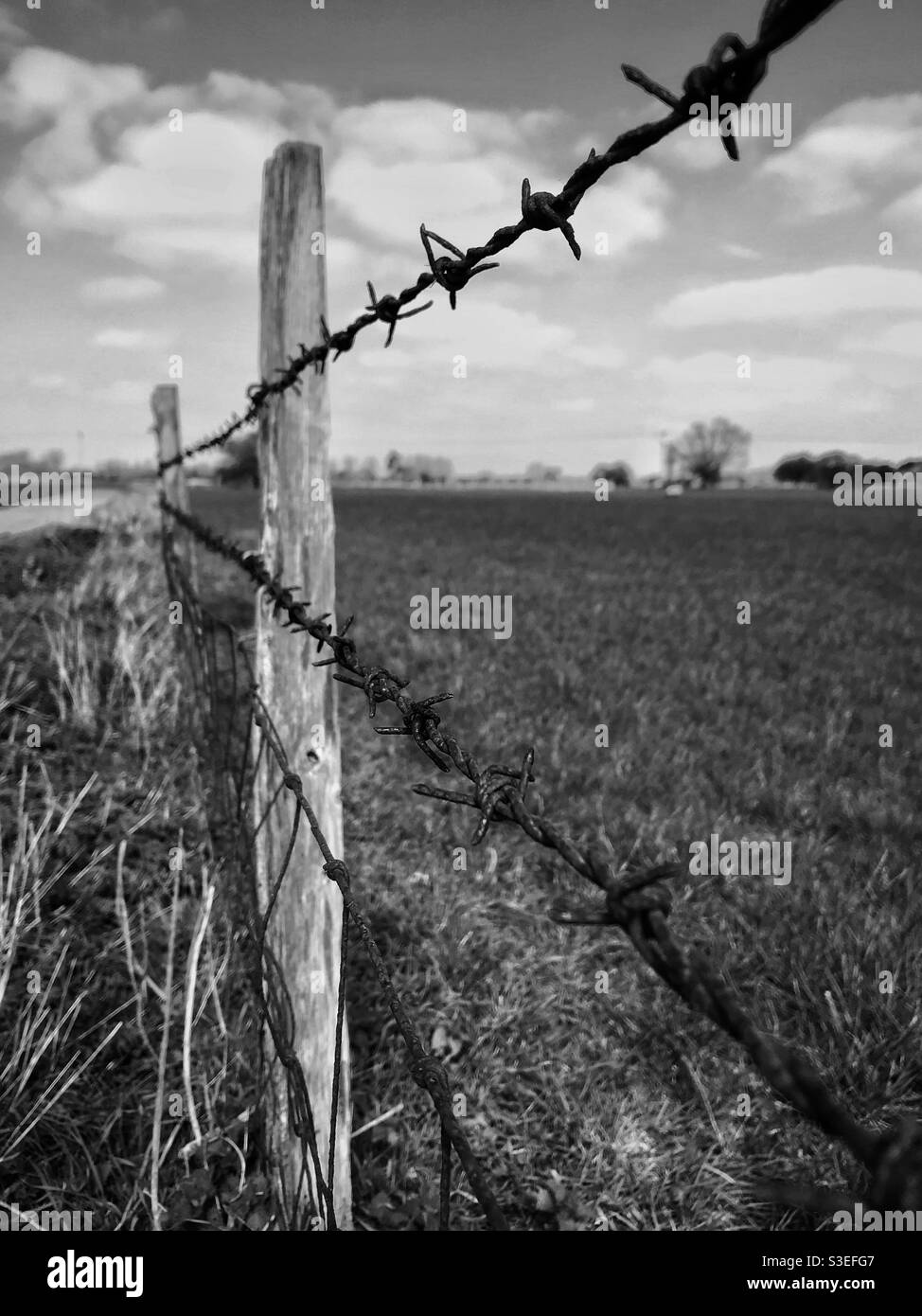 Barbed wire fence post Black and White Stock Photos & Images - Alamy