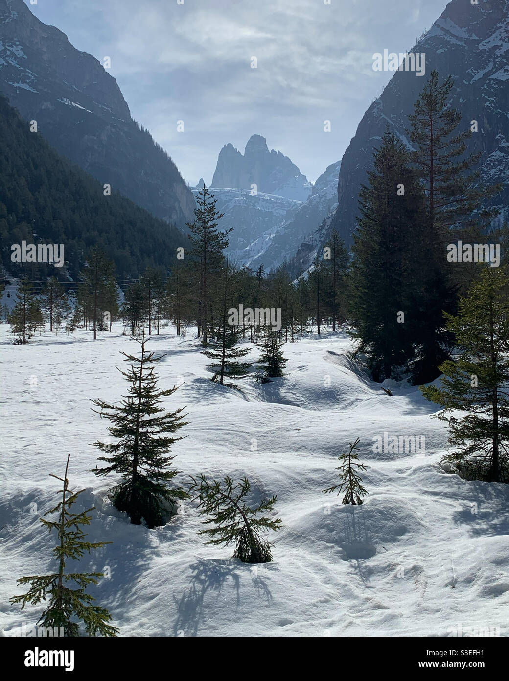 Tre Cime di Lavaredo in a Winter landscape. - Smartphone Captured Stock Image