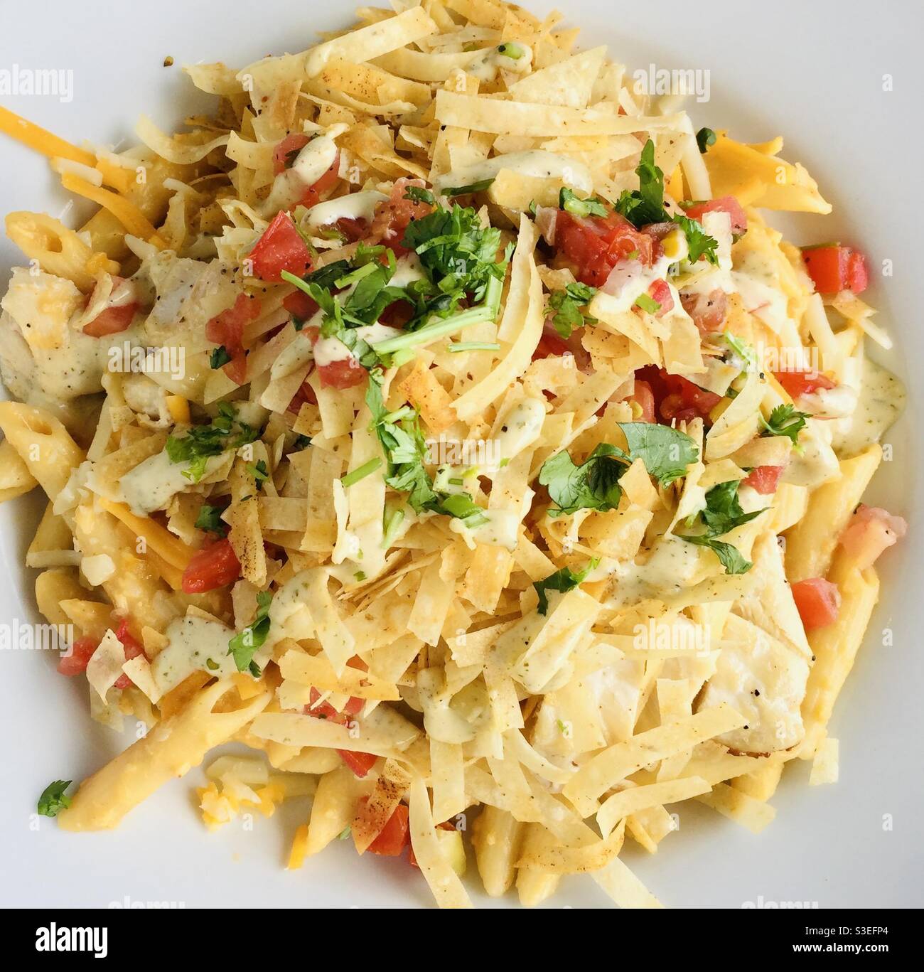 Delicious vegetarian pasta dish. Stock Photo