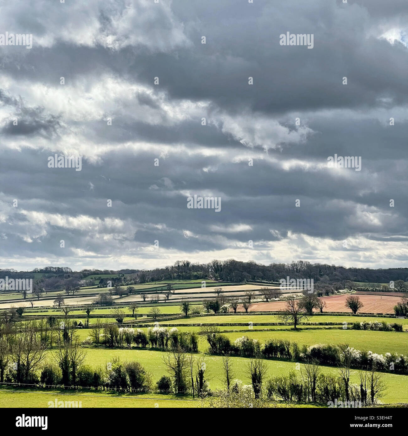 Light and shade Stock Photo Alamy