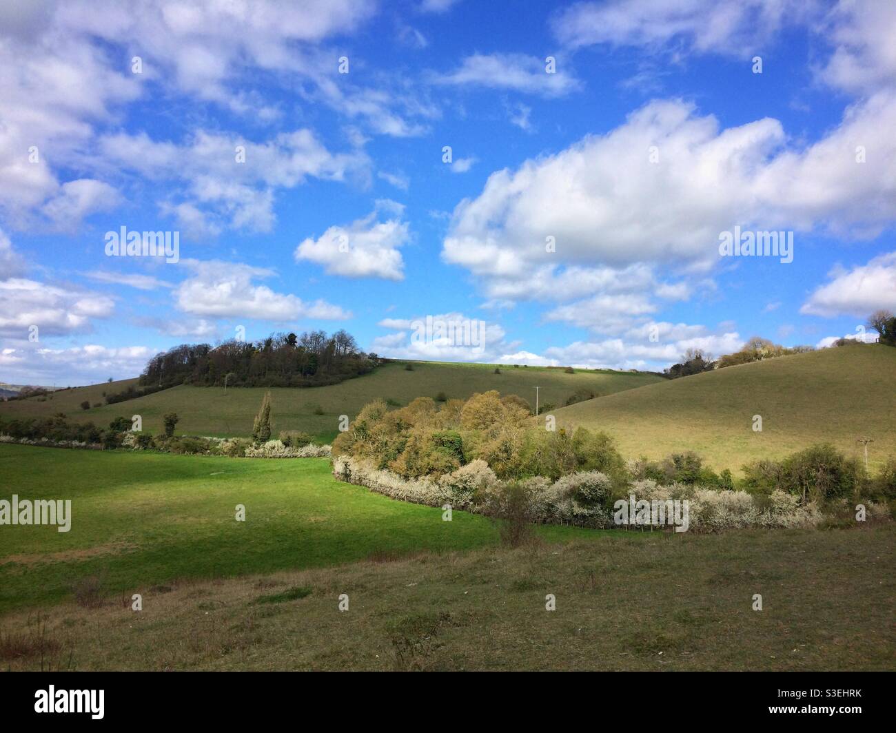 A springtime view of Hartslock nature reserve in Oxfordshire, a chalk grassland site important for flowers and insects - Smartphone Captured Stock Image