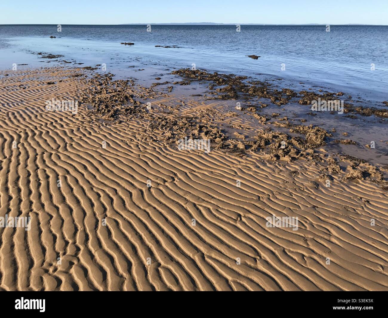 Lines in the sand at low tide, Margate Beach, Queensland, Australia - Smartphone Captured Stock Image