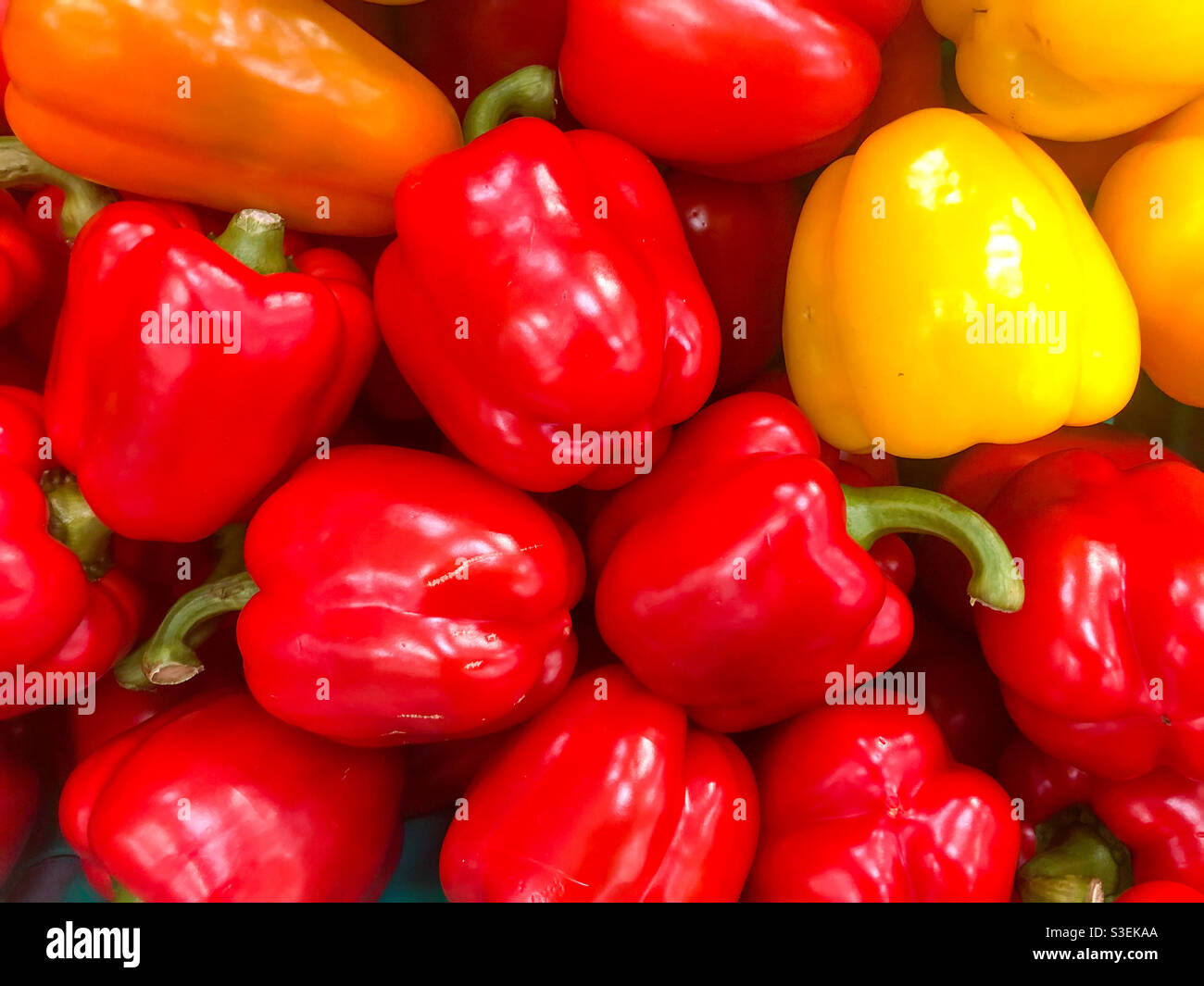 Fresh peppers on sale in a supermarket. - Smartphone Captured Stock Image