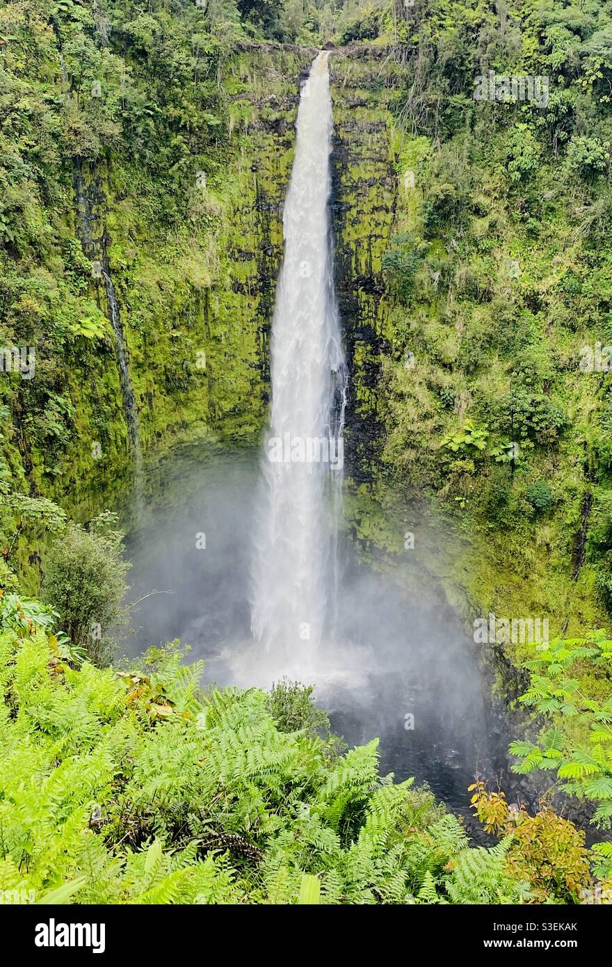 Akaka Falls in the big island of Hawaii Stock Photo