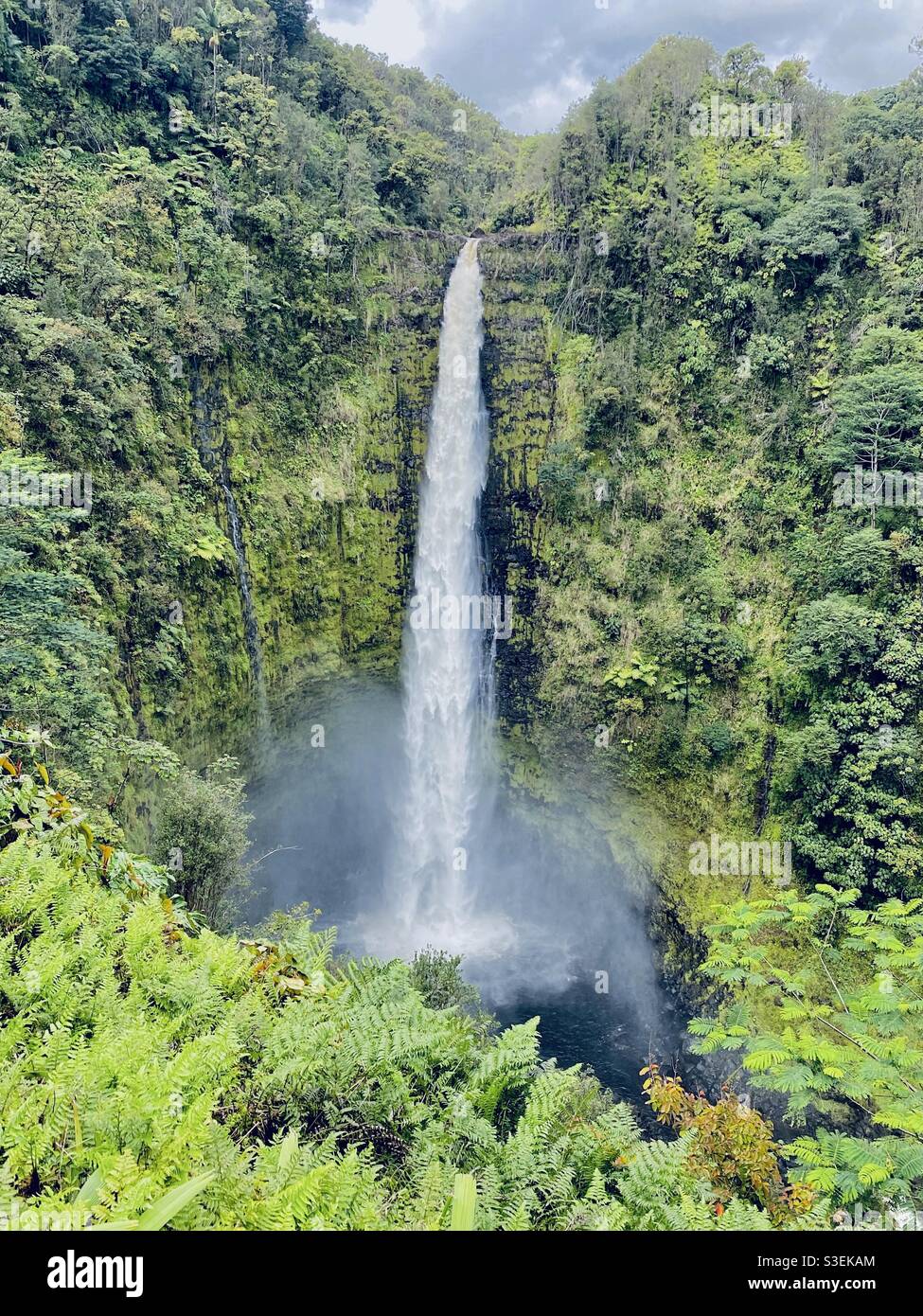 Akaka Falls in the Big Island of Hawaii Stock Photo