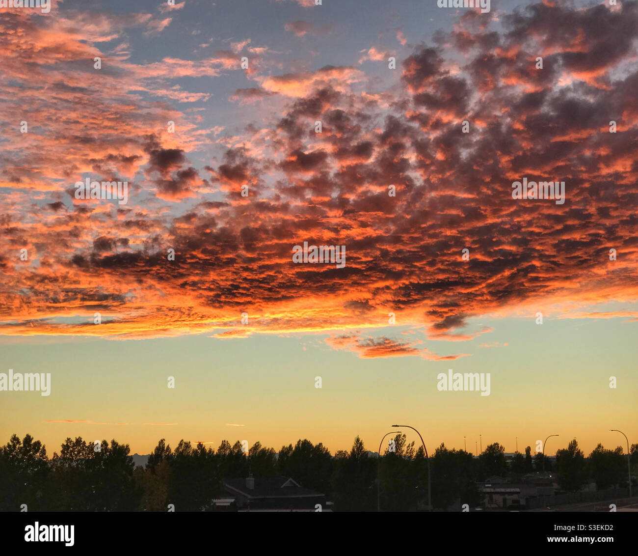 Fiery clouds at sunset. Calgary, Alberta, Canada. - Smartphone Captured Stock Image
