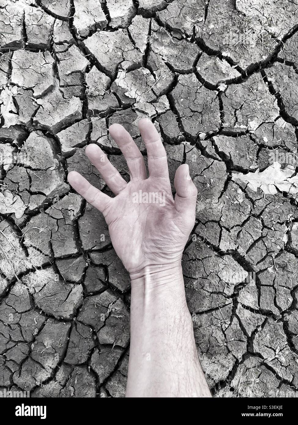 A lifeless human hand with life drained from the body in a harsh dry drought environment with scorched earth policy - Smartphone Captured Stock Image