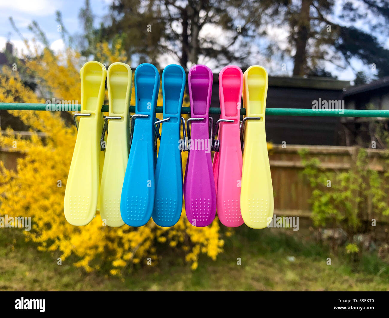 Colourful plastic clothes pegs clipped onto a clothes line together in a garden. - Smartphone Captured Stock Image