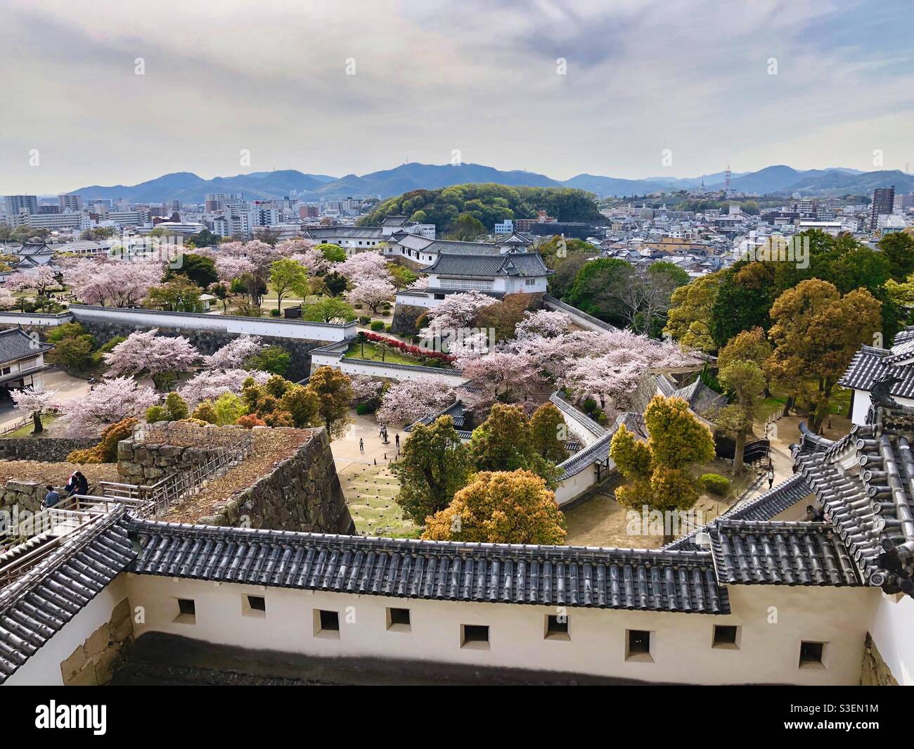 View from Himeji Castle at Himeji town and park with blossoming cherry trees, Japan. - Smartphone Captured Stock Image