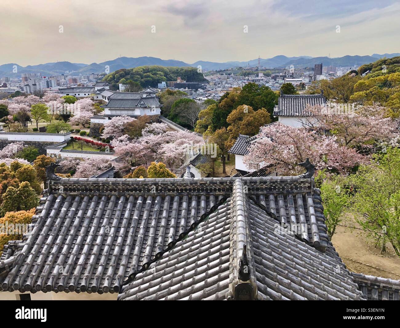 View from Himeji Castle at Himeji town with blossoming cherry trees, Japan. - Smartphone Captured Stock Image