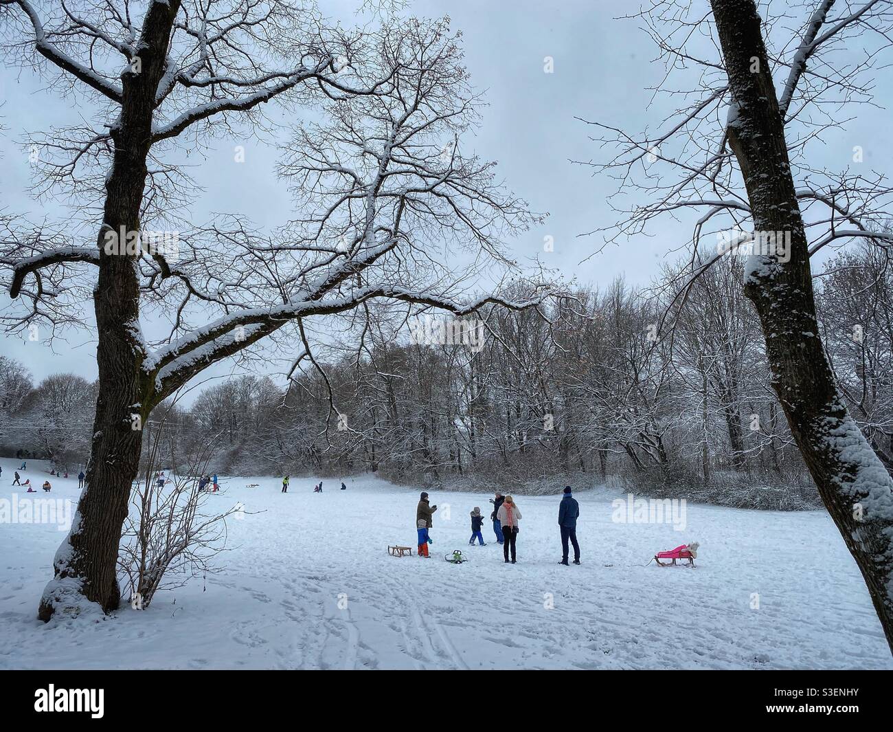 Sledding people with kids on a snowy day in Fideliopark in Munich, Germany. - Smartphone Captured Stock Image