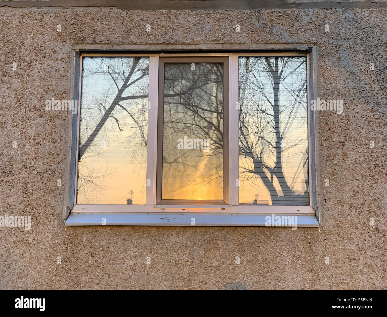 Reflection of a spring morning in the window - Smartphone Captured Stock Image