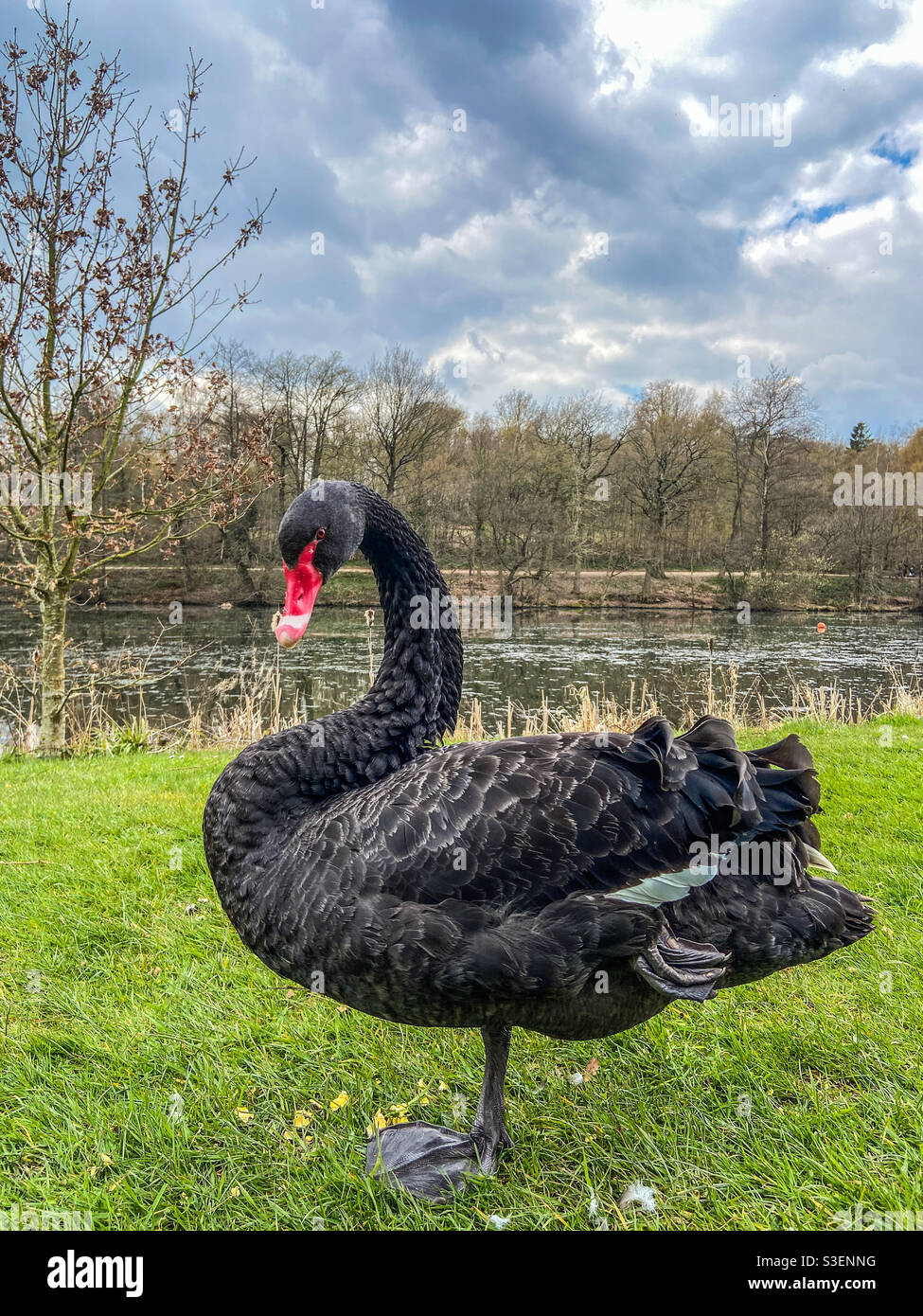 Countryside walks - Smartphone Captured Stock Image